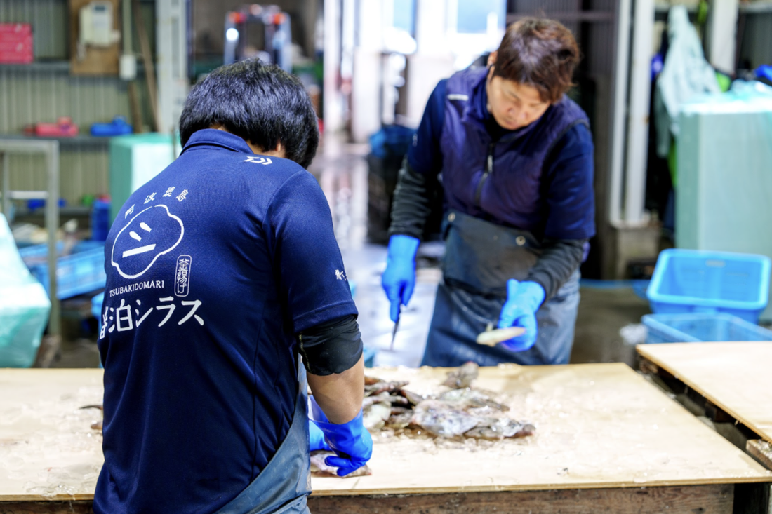 【竹内水産様】「海の恵みに恩返しを」DAIWAファンの心をつかむ、誇りとモチベーションを高めるユニフォーム